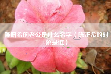 陈妍希的老公是什么名字（陈妍希的对象是谁）