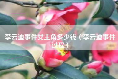 李云迪事件女主角多少钱（李云迪事件过程）