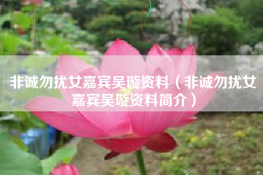 非诚勿扰女嘉宾吴璇资料（非诚勿扰女嘉宾吴璇资料简介）