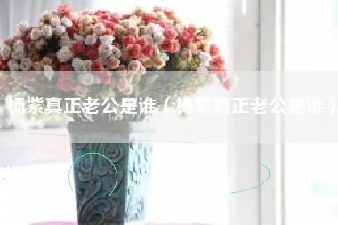 杨紫真正老公是谁（杨紫真正老公是谁）