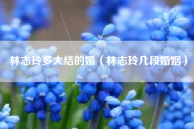 林志玲多大结的婚（林志玲几段婚姻）