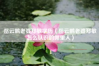 岳云鹏老婆郑敏学历（岳云鹏老婆郑敏怎么认识的哪里人）