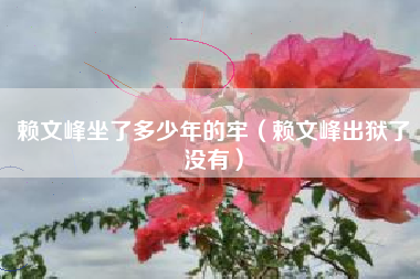 赖文峰坐了多少年的牢（赖文峰出狱了没有）