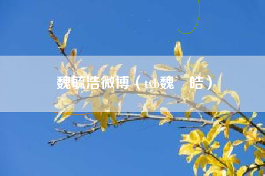 魏毓浩微博（tvb魏焌皓）