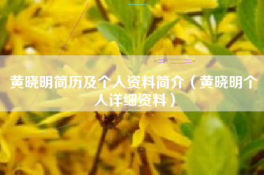 黄晓明简历及个人资料简介（黄晓明个人详细资料）