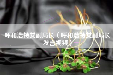 呼和浩特女副局长（呼和浩特女副局长发言视频）