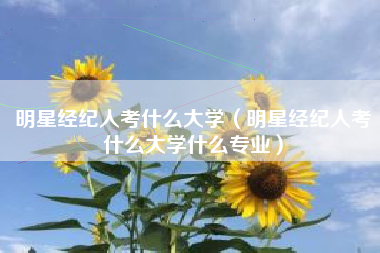 明星经纪人考什么大学（明星经纪人考什么大学什么专业）