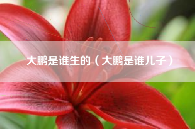 大鹏是谁生的（大鹏是谁儿子）