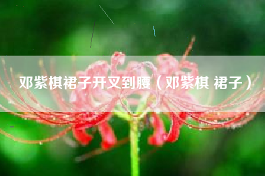 邓紫棋裙子开叉到腰（邓紫棋 裙子）