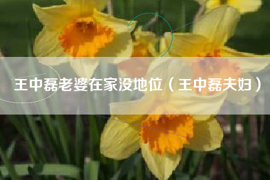 王中磊老婆在家没地位（王中磊夫妇）