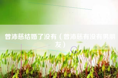 曾沛慈结婚了没有（曾沛慈有没有男朋友）