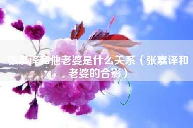 张嘉译和他老婆是什么关系（张嘉译和老婆的合影）