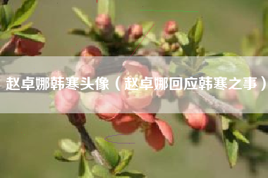 赵卓娜韩寒头像（赵卓娜回应韩寒之事）