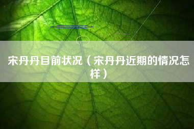 宋丹丹目前状况（宋丹丹近期的情况怎样）