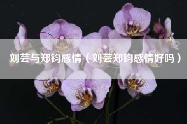 刘芸与郑钧感情（刘芸郑钧感情好吗）
