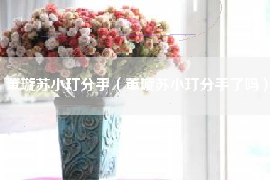 董璇苏小玎分手（董璇苏小玎分手了吗）