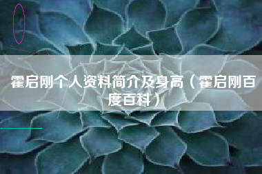 霍启刚个人资料简介及身高（霍启刚百度百科）