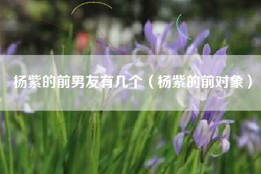杨紫的前男友有几个（杨紫的前对象）