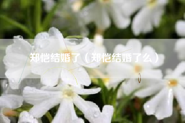 郑恺结婚了（郑恺结婚了么）