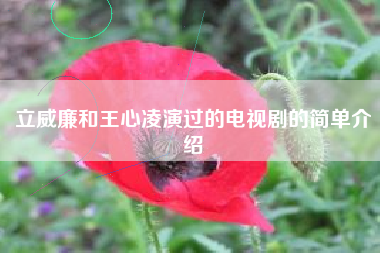 立威廉和王心凌演过的电视剧的简单介绍