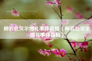 柳岩包贝尔婚礼事件真相（柳岩包贝尔婚礼事件真相）