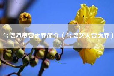 台湾演员曾之乔简介（台湾艺人曾之乔）