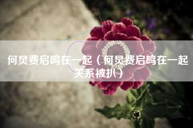 何炅费启鸣在一起（何炅费启鸣在一起关系被扒）