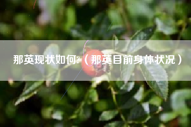 那英现状如何?（那英目前身体状况）