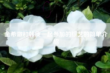 金希澈和韩庚一起参加的综艺的简单介绍