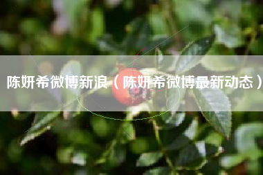 陈妍希微博新浪（陈妍希微博最新动态）