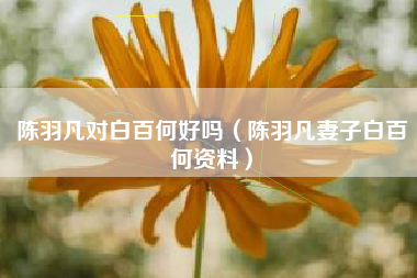 陈羽凡对白百何好吗（陈羽凡妻子白百何资料）