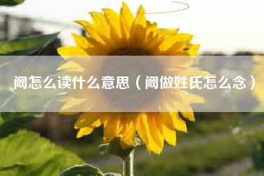 阚怎么读什么意思（阚做姓氏怎么念）