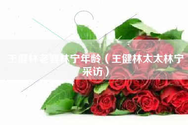 王健林老婆林宁年龄（王健林太太林宁采访）