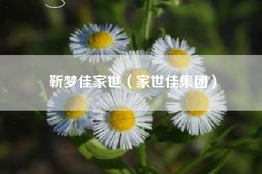 靳梦佳家世（家世佳集团）