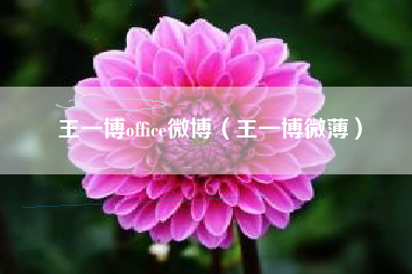 王一博office微博（王一博微薄）