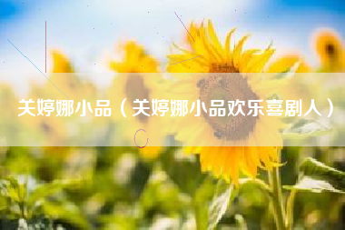 关婷娜小品（关婷娜小品欢乐喜剧人）