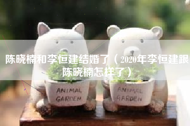 陈晓楠和李恒建结婚了（2020年李恒建跟陈晓楠怎样了）
