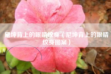 尼坤背上的眼睛纹身（尼坤背上的眼睛纹身图案）