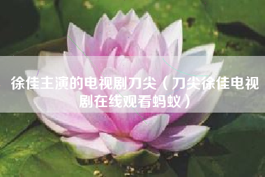 徐佳主演的电视剧刀尖（刀尖徐佳电视剧在线观看蚂蚁）