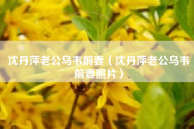 沈丹萍老公乌韦前妻（沈丹萍老公乌韦前妻照片）