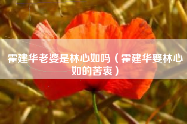 霍建华老婆是林心如吗（霍建华娶林心如的苦衷）