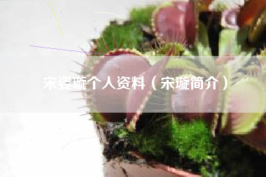 宋姿璇个人资料（宋璇简介）