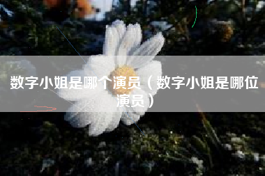 数字小姐是哪个演员（数字小姐是哪位演员）