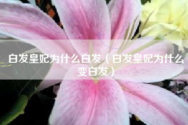 白发皇妃为什么白发（白发皇妃为什么变白发）