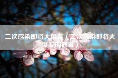 二次感染即将大爆发（二次感染即将大爆发的病毒）
