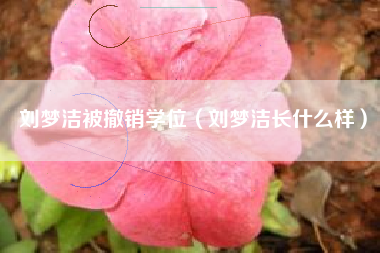 刘梦洁被撤销学位（刘梦洁长什么样）