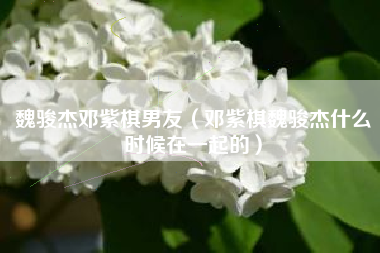 魏骏杰邓紫棋男友（邓紫棋魏骏杰什么时候在一起的）