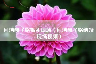 何洁赫子铭婚礼现场（何洁赫子铭结婚现场视频）