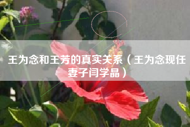 王为念和王芳的真实关系（王为念现任妻子闫学晶）