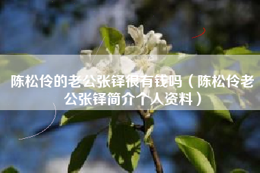 陈松伶的老公张铎很有钱吗（陈松伶老公张铎简介个人资料）